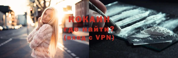 спиды Каменка