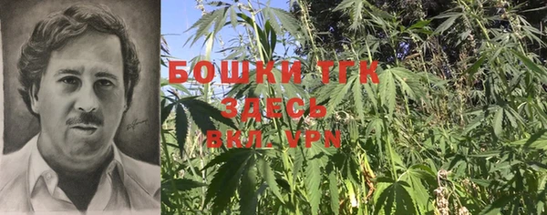 спиды Каменка