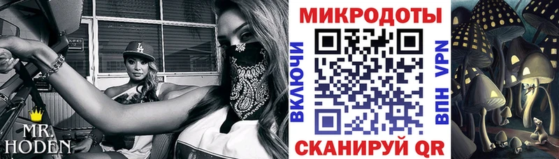 Псилоцибиновые грибы ЛСД  цена   Кандалакша 