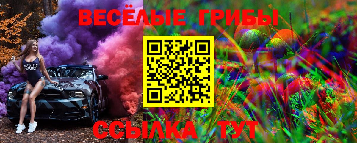где купить   Псилоцибиновые грибы Cubensis  Вход с VPN  Кандалакша 