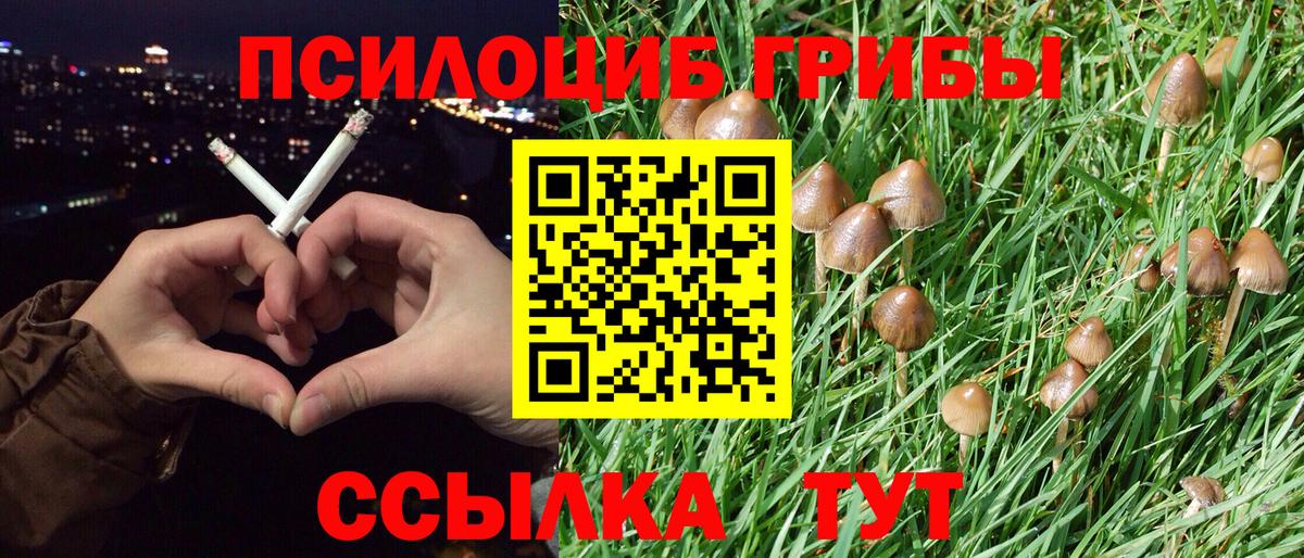 Псилоцибиновые грибы прущие грибы Кандалакша