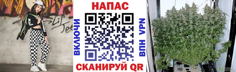 цены наркотик  Кандалакша  Конопля THC 21% 